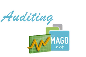 auditing-mago-net