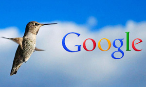 google-hummingbird