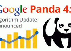 min Google-Panda-4.1-Update