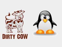 min dirty cow linux