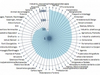 min settori-per-magonet